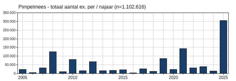 Aantallen van de pimpelmees per najaar, waargenomen vanaf de Nederlandse trektelposten in de periode 2005 tot en met 2025