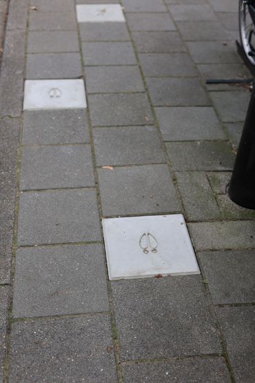Bijzondere stoeptegels wijzen de weg naar de natuur