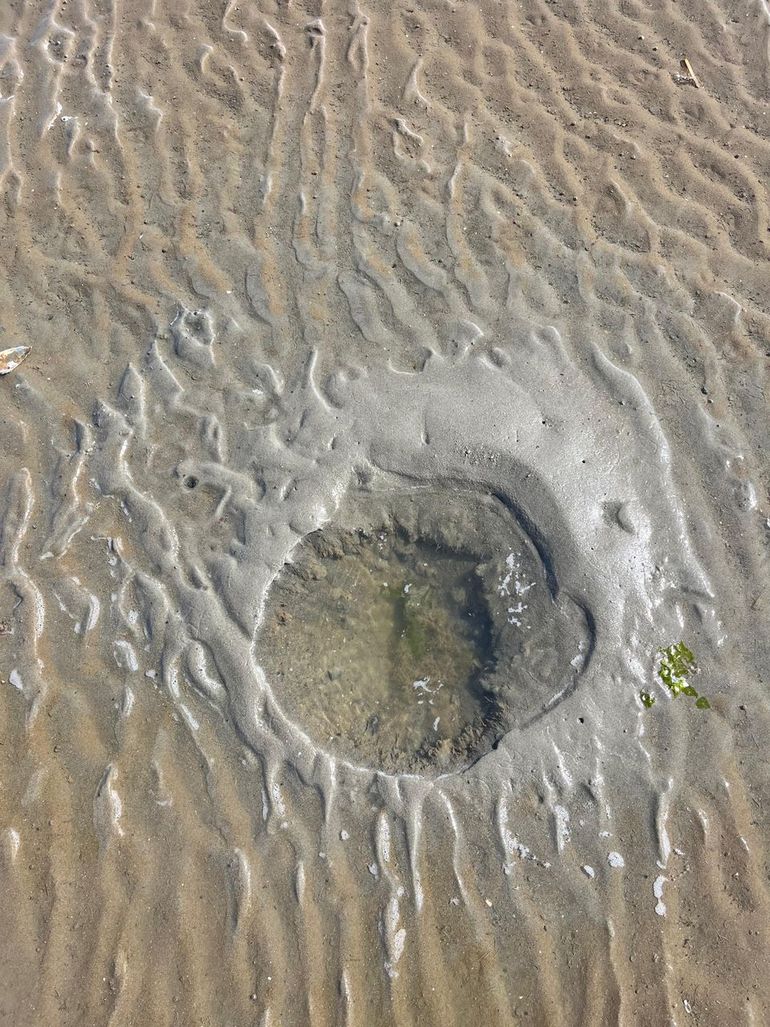 Een kuil in het zand bij Oostvoorne