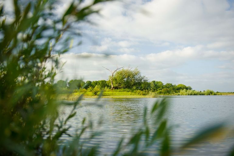 De Millingerwaard in de Gelderse Poort