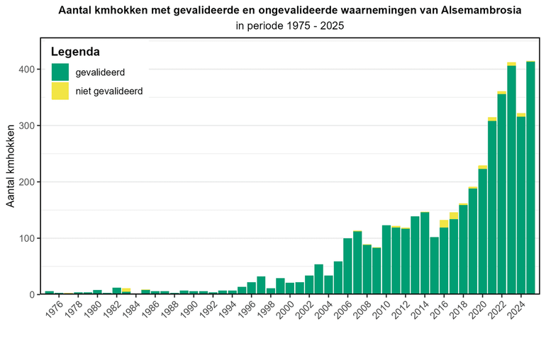 Totaal aantal kilometerhokken per jaar met gevalideerde en ongevalideerde waarnemingen van Alsemambrosia in de periode 1975 tot en met 2025