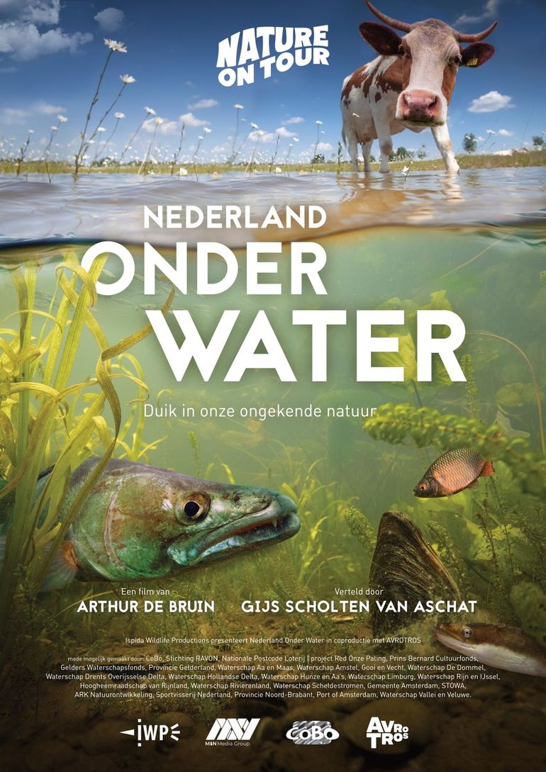 Filmposter Nederland Onder Water