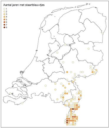 Staartblauwtje in Nederland vanaf 2011, aantal jaren dat de soort is waargenomen