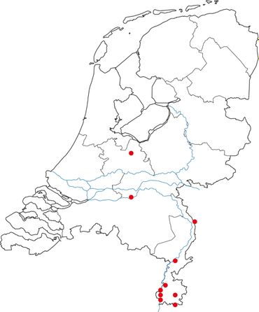 Vindplaatsen van de groene zandbij in Nederland