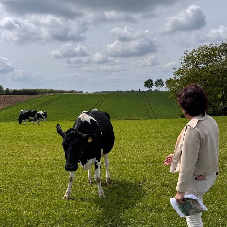 Landschap rond Noorbeek