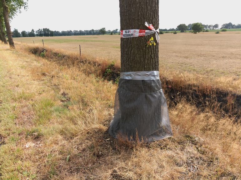 Met horgaas ingepakte bomen op 2 augustus 2019