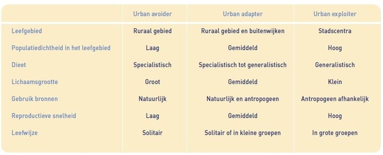 Kenmerken van de drie groepen urbane zoogdieren