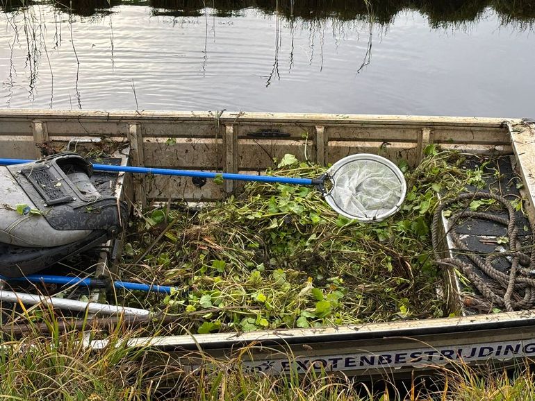 De opbrengst van het amfibievoertuig