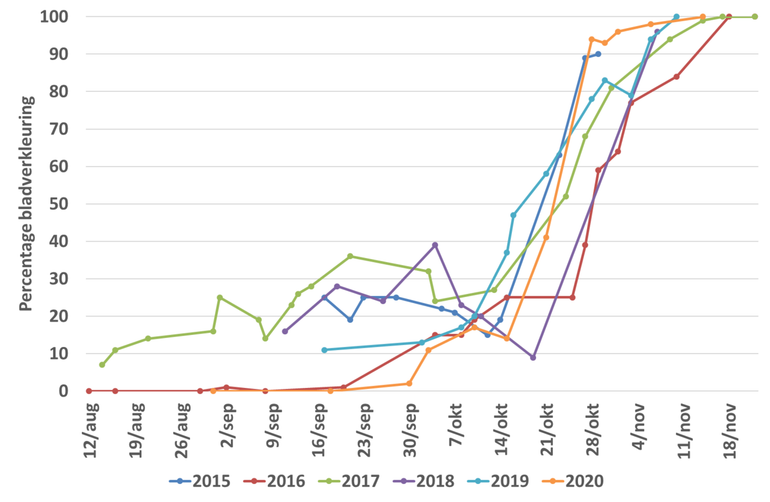 Verloop van het percentage bladverkleuring van een zomereik in Ede in de jaren 2015 tot en met 2020