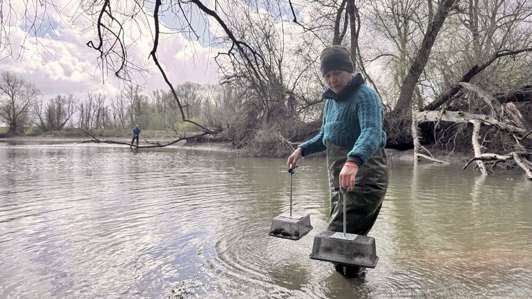 De mosselen worden in de nevengeul geplaatst waar ze de aankomende maanden gemonitord zullen worden. Aan de onderkant van de metalen kooitjes zit een wokkel waarmee ze de bodem in worden gedraaid zodat de kooitjes niet mee worden genomen door de stroming in de geul