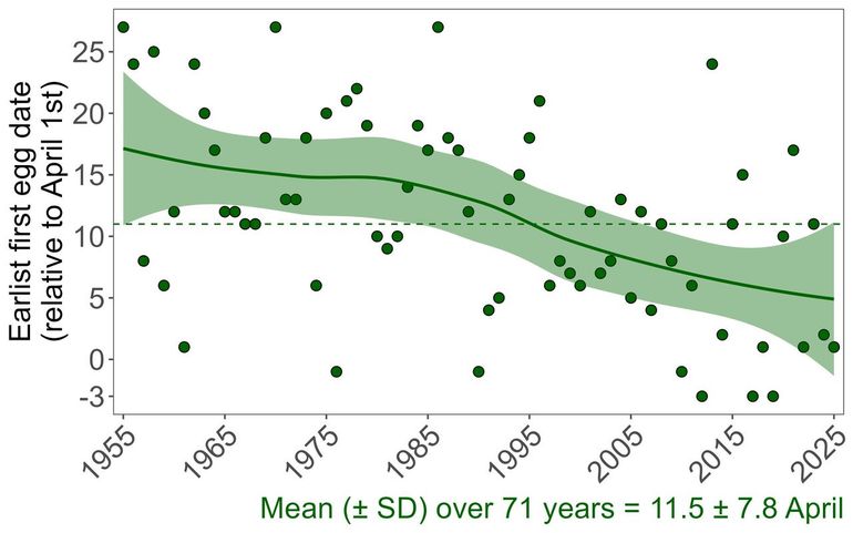 Over the past few decades, the date on which the first great tit egg is laid has shown a trend – the figure shows the population of De Hoge Veluwe. Whereas seventy years ago eggs were laid in mid to late April, it is now early April
