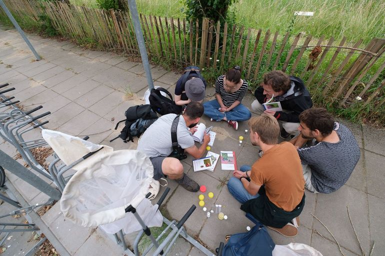 Inventariseren van aanwezige soorten op de campus van Wageningen University & Research in het kader van de landelijke Biodiversity Challenge