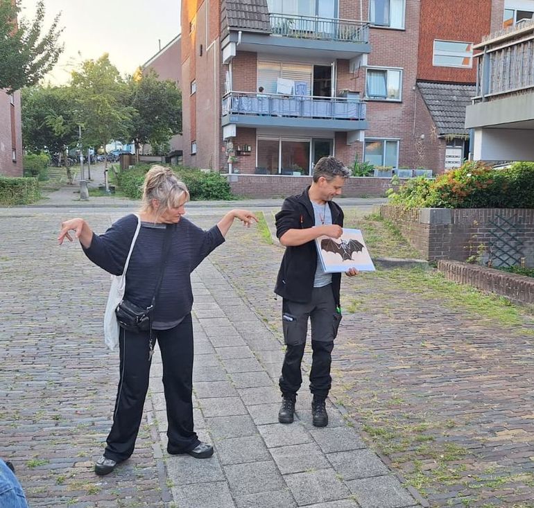Vleermuisexcursie in Arnhem