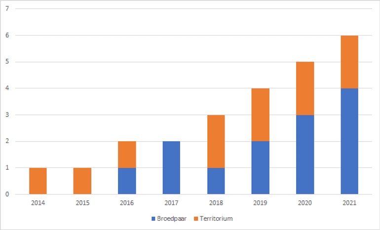 Ontwikkeling populatie visarenden in Nederland in 2014-2021. Vogels of paren met een nest of meerder nesten (territorium) en paren die daadwerkelijk broedden (broedpaar) zijn uitgesplitst