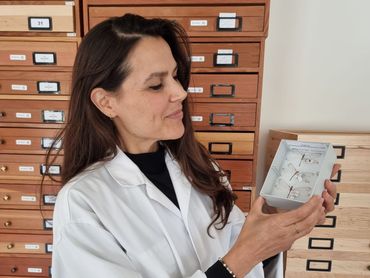 Mónica is mierenleeuwen van Naturalis aan het bekijken