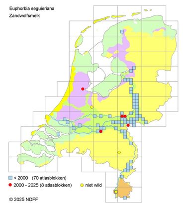 Verspreidingskaart Zandwolfsmelk