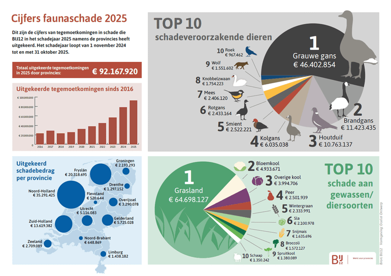 Infographic met faunaschadecijfers van 2025 voor Nederland en per provincie