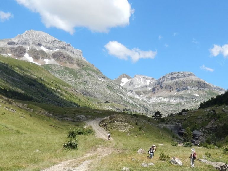 Er is al veel bekend over de biodiversiteit in Europa, maar door een goede mix van techniek en mensen kan de waarde ervan sterk toenemen