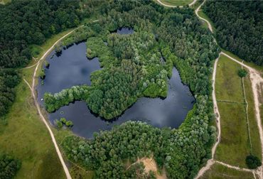 Gebied Kwintelooijen
