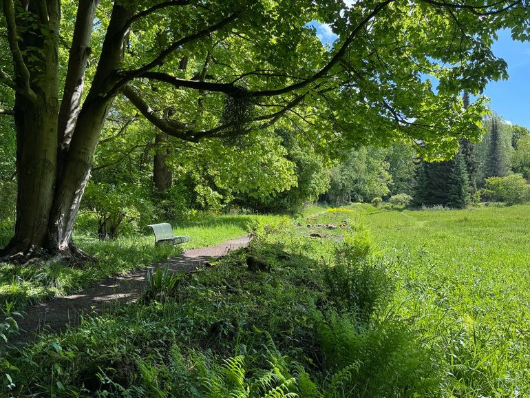 Wandel van de historische Hortuslocatie naar de huidige Hortus in Haren