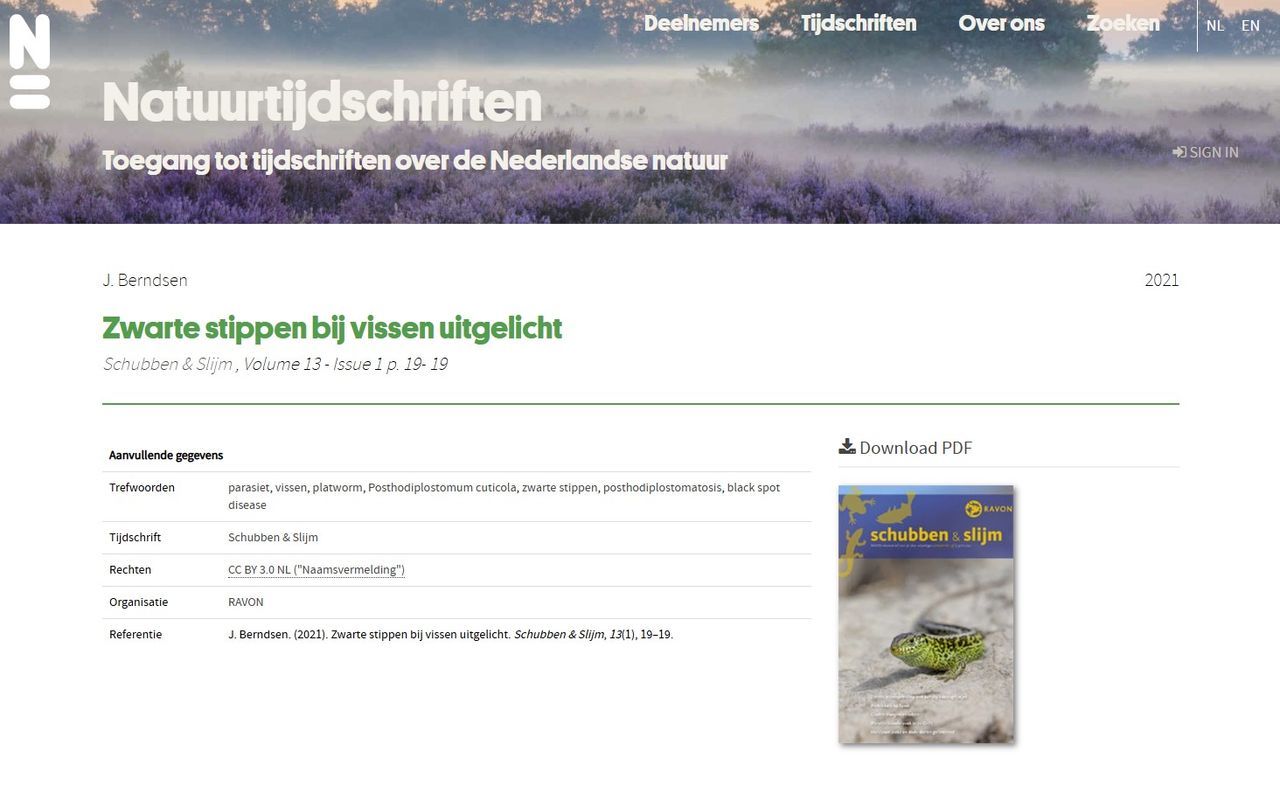 Een populair artikel uit 2021