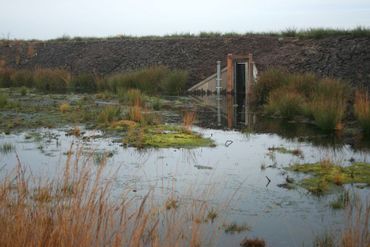 Waterpeilbeheersing door middel van een damwand in een veen