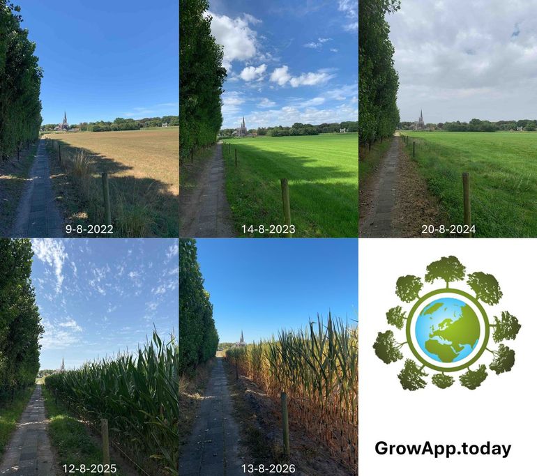 Een GrowApp-locatie in Den Hout waar de invloed van droogte op een weiland en een paar jaar later op een maisakker zichtbaar is