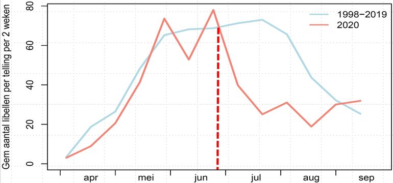 Aantal libellen (alle soorten) per telling. Blauw: 1998-2019; rood: 2020