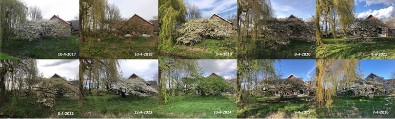 Sierkers in Bennekom rond 9 april in de jaren 2017 tot en met 2026