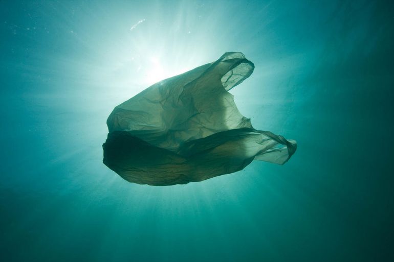 Plastic tas in zee