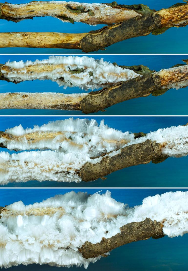 Timelapse van de vorming van ijshaar