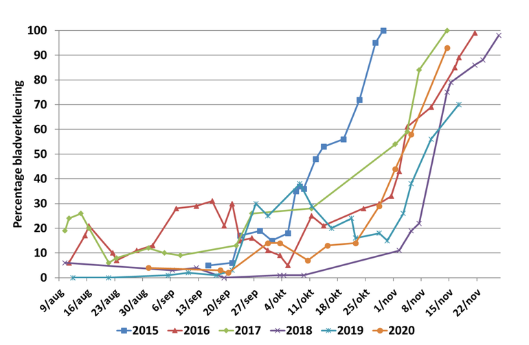 Verloop van het percentage bladverkleuring van een berk in de Lumentuin van Wageningen University & Research in de jaren 2015 tot en met 2020 