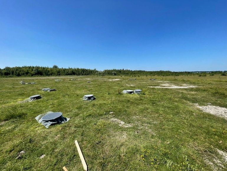 Onderzoeksopzet met ingegraven en afgedekte tonnen waarbinnen de rupsen van gamma-uil zijn uitgezet