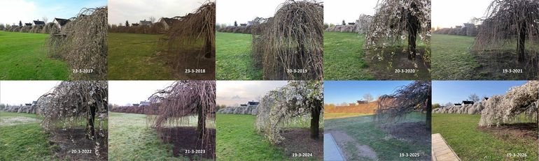 Sierkers Ede rond 19 maart in de jaren 2017 tot en met 2026