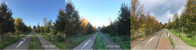 Stand van de herfstkleuring van diverse boomsoorten in Almere rond 20 oktober in de jaren 2020 tot en met 2022. De herfstkleuring is in 2022 beduidend eerder dan in 2020 en 2021 