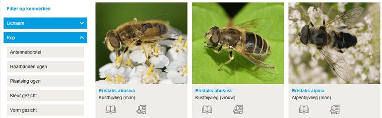 De digitale soortzoeker bijvliegen, met links enkele kenmerken waarop geselecteerd kan worden