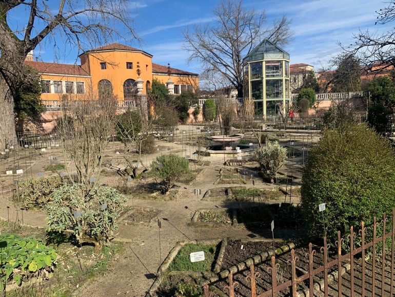 Bezoek aan de oudste botanische tuin ter wereld: Orto Botanico di Padova in Padua Italië