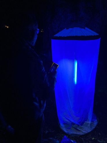 ...en UV-lamp