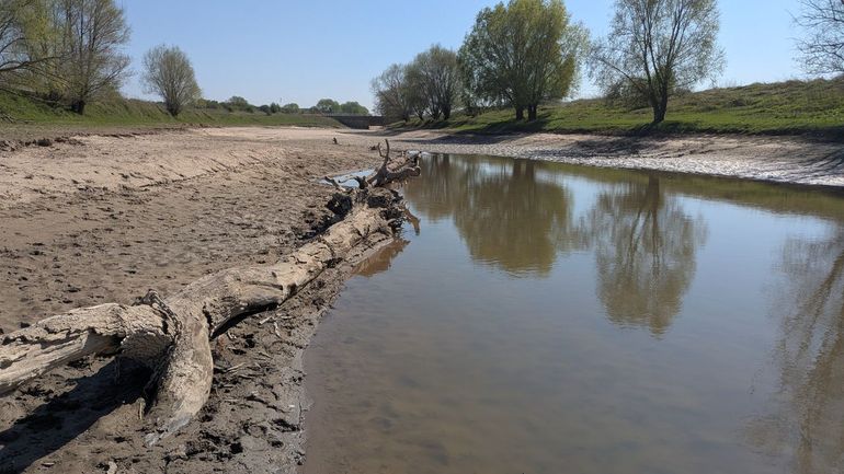 De droogvallende nevengeul in de Klompenwaard waar de schaar van de calicotrivierkreeft op 4 april 2025 werd gevonden. De soort voelt zich erg thuis in wateren met bodems die bestaan uit riviersediment waaronder klei. Voor een groot deel van het Nederlandse rivierengebied kan worden verwacht dat de calicotrivierkreeft zich hier in de toekomst zal gaan vestigen