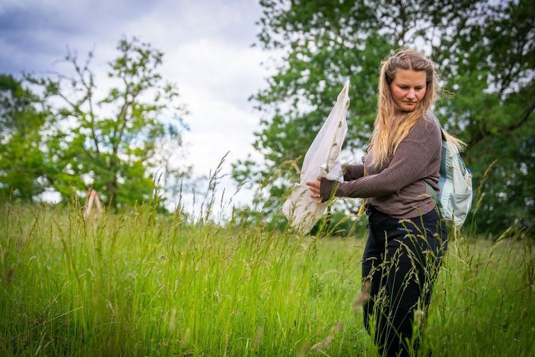 Ecoloog en entomoloog Wouke Willemijn van Hees