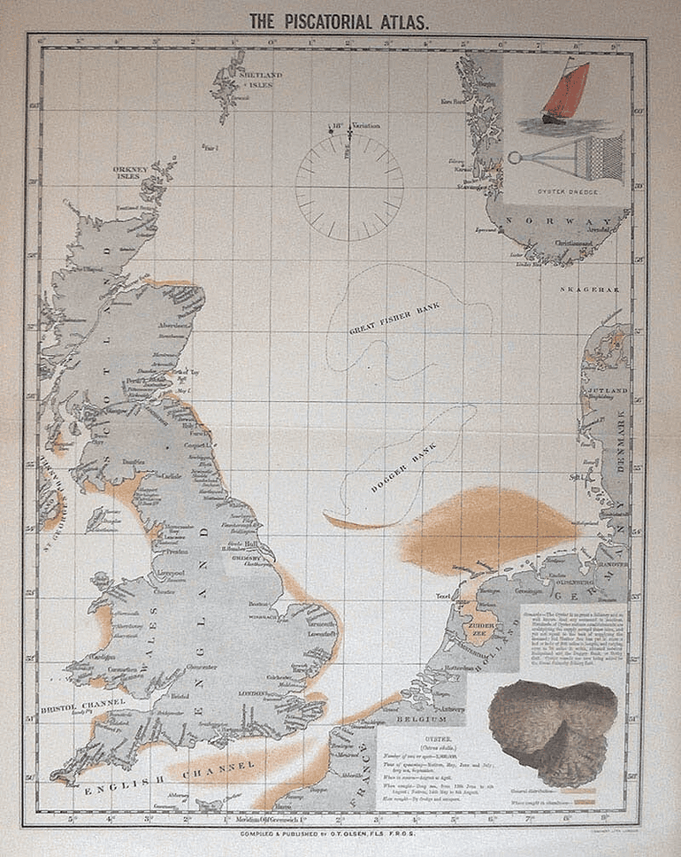 Verspreidingsgebied van de platte oester op een kaart uit 1883