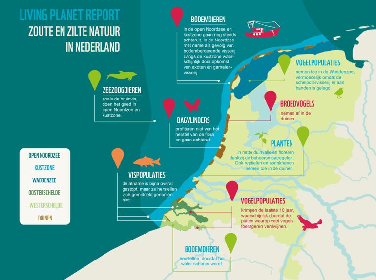 Infographic zoute en zilte natuur in Nederland