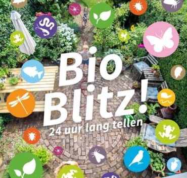Tijdens de BioBlitz op 20 juni werden 750 tellingen doorgegeven en 2895 soorten gezien
