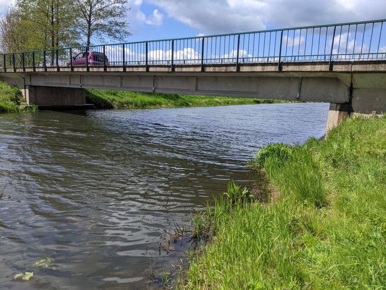 Otterpassage bij de Marmelhorstweg over de Aa-strang