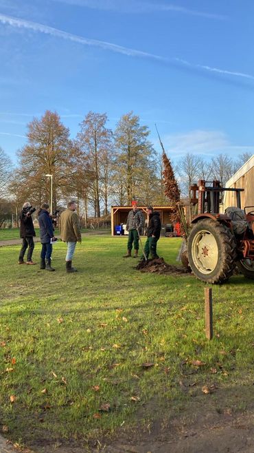 De stichting Hoopheggen plant met hulp van vrijwilligers heggen, singels en houtwallen aan