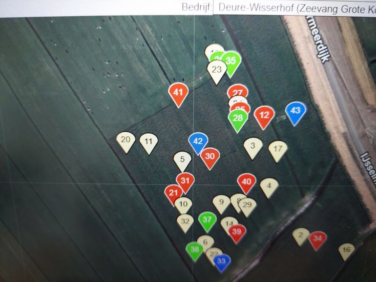 De dichtheid aan vogels op het perceel was hoog