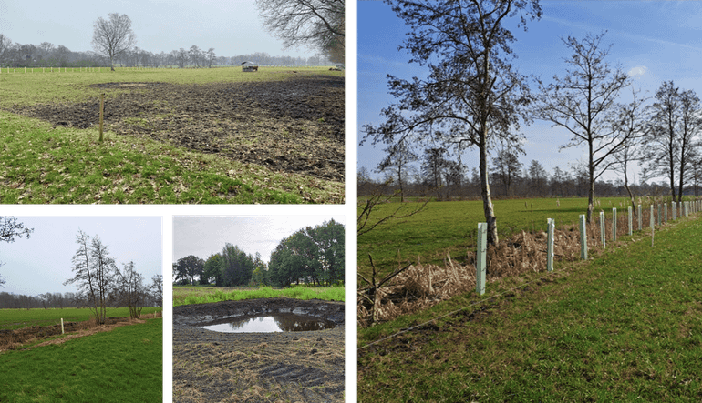 Impressie van de projecten van BoerenNatuur Groningen West