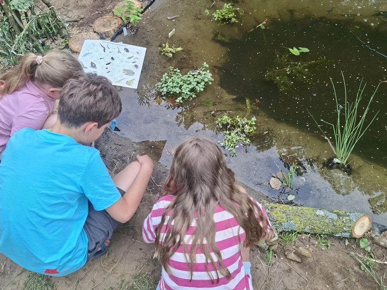 Leerlingen van de 1e van der Huchtschool in Soest bij hun Tiny Poel