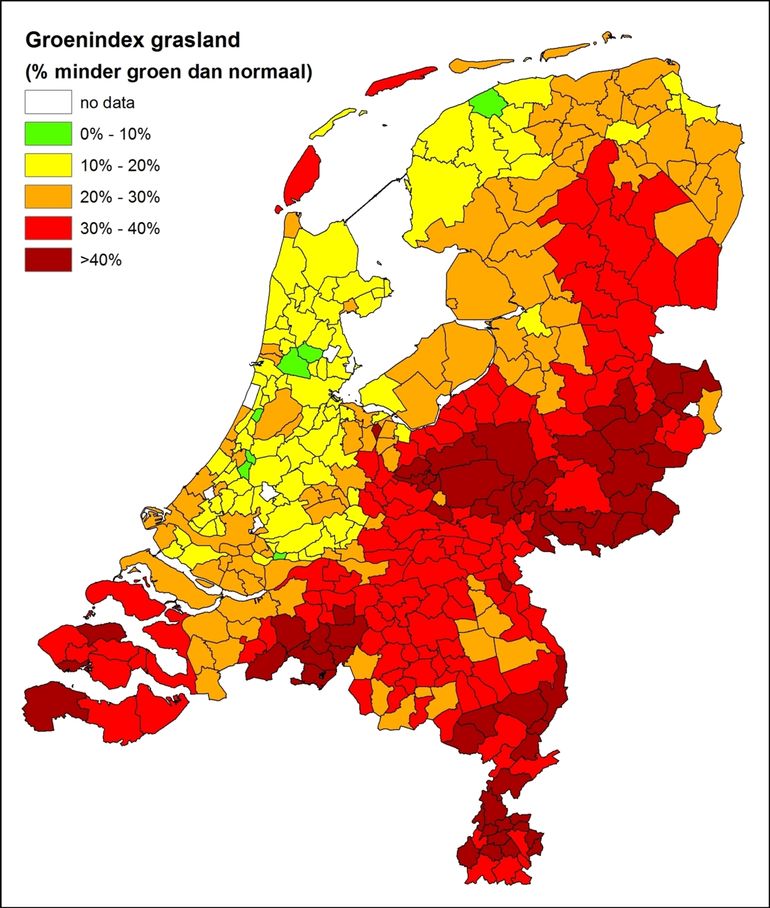 Het effect van droogte op de groenindex van grasland per gemeente als procentuele daling tussen 26 mei en 6 augustus 2018