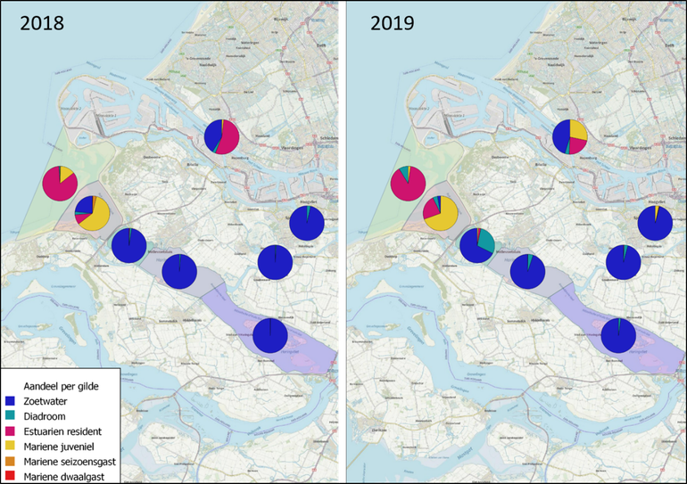 Aandeel per ecologisch gilde in het westelijke deel van de Zuid-Hollandse delta voor 2018 en 2019. Voor deze weergave zijn alleen monsterlocaties gebruikt welke in beide jaren zijn bevist